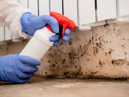 Best Airborne Mold Testing  in Palos Heights, IL